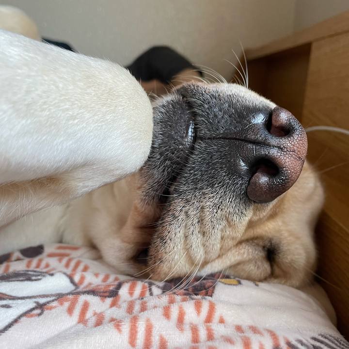 D0ee6d44 f5bc 4434 838c 789e177f3463 1683070261094