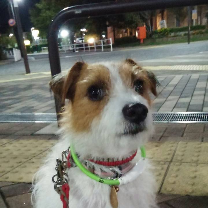 D0eef9bc c987 45c1 a679 1756bd0e0f0e 1540213291583