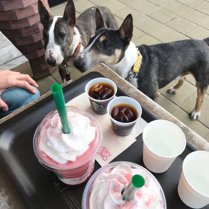 D0ef38c4 a517 40f9 b4e6 fd7732c38a80 1525521232265