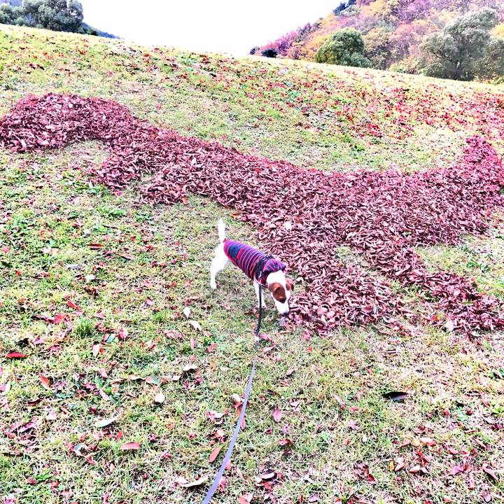 D0ef597c 2608 4c8d bc4b 3039842d1cb7 1543220466612