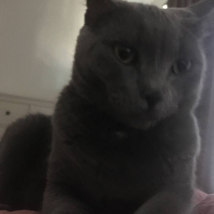 D0ef6723 e7ea 46ce b8a5 c4102e1cecf6 1660608707837