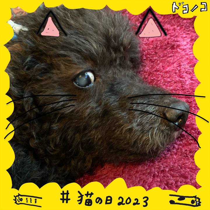 D0ef9ef9 7c7d 45b1 b9d7 75c65430a331 1677019752588