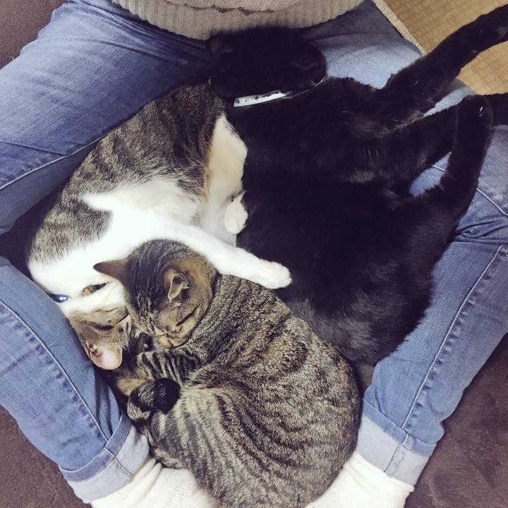 D0efb0f5 7344 4a4c 8acb ad1c0068c35d 1519116968849