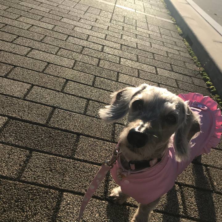 D0efb1cb 35a8 4fb2 b346 42cf49137c80 1509317827522