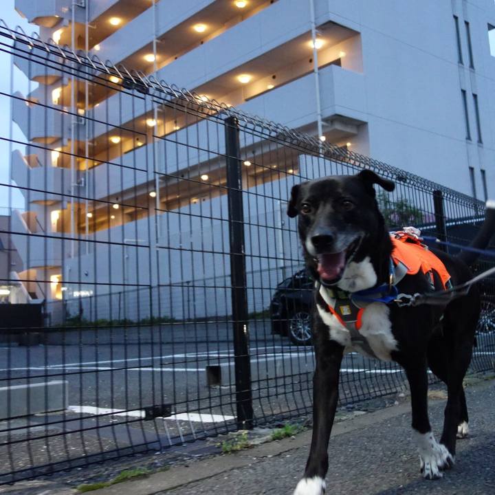 D0efb99b 2551 4be1 ac4e 9430c5d59855 1714473540426