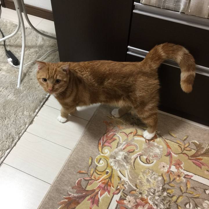 D0efd843 c189 4d93 a995 f0c3a9db5cd0 1511477460172