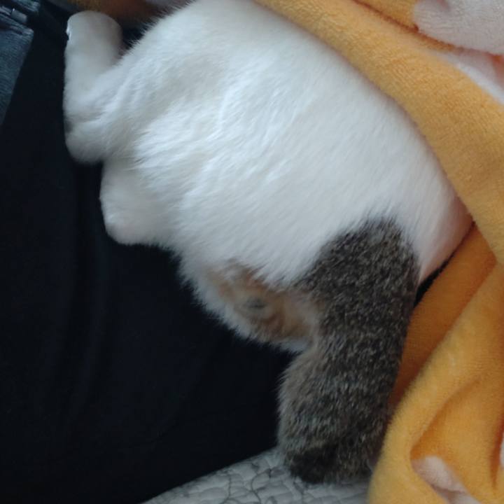 D0efdae1 200f 460f 9a68 e8d07517b0b5 1672464414855