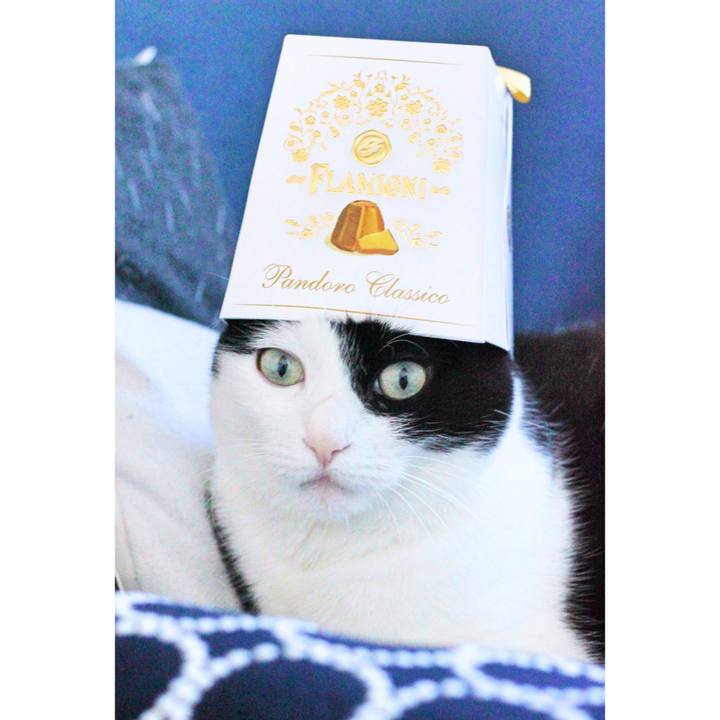 D0eff179 47cb 4cd7 809a 73600c21fae3 1577589206774