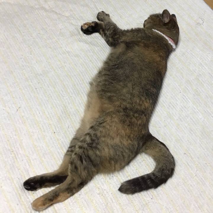 D0eff33d 703b 4781 b486 23111232fab6 1753781182486