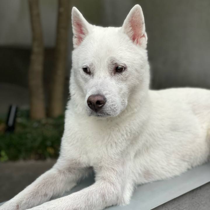 D0eff628 4dac 4d45 8eb0 4eba083533c8 1687602169766