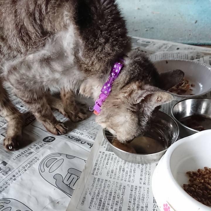 D0f01c4e 0122 4f37 ade9 dc643be6042d 1598826659326