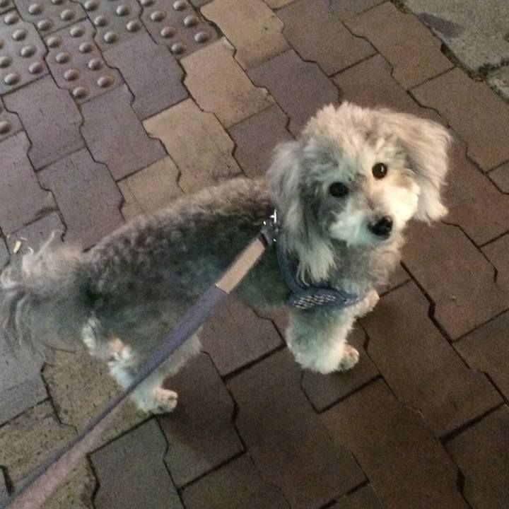 D0f03c2a bce2 4f1e 80e5 f80ad6e0846d 1750108897109