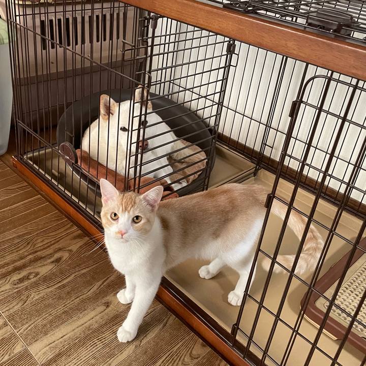 D0f07ce8 ca9b 43df a673 8bb79d8ccc15 1606031821095