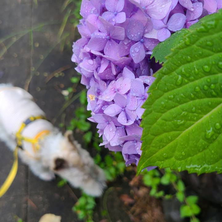 D0f09ab4 069d 48cb a46c c7853321b508 1686269660020