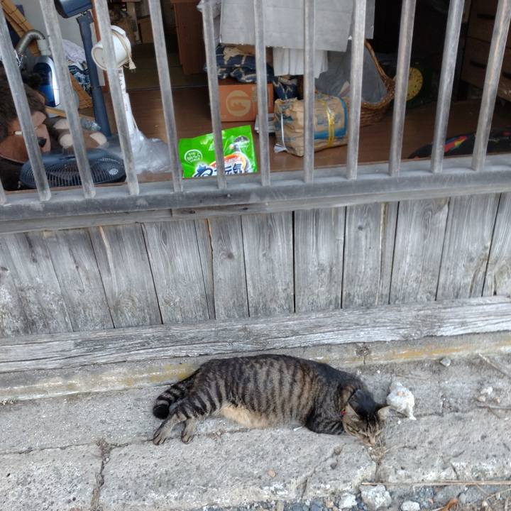 D0f09caa 6cd2 44af 9ed1 f85dfd0437f6 1690367924224