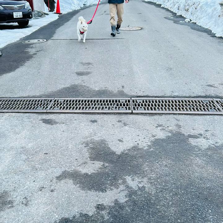 D0f0d6f9 8eb4 406b 912d 987f583b9d6a 1706578401689