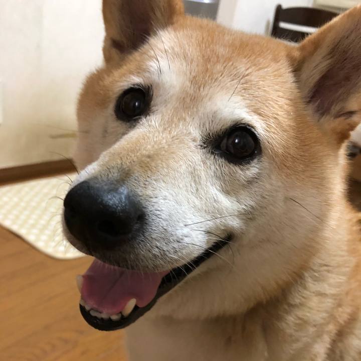 D0f0f3af f95c 459f 9327 70a254d90e73 1534866975736