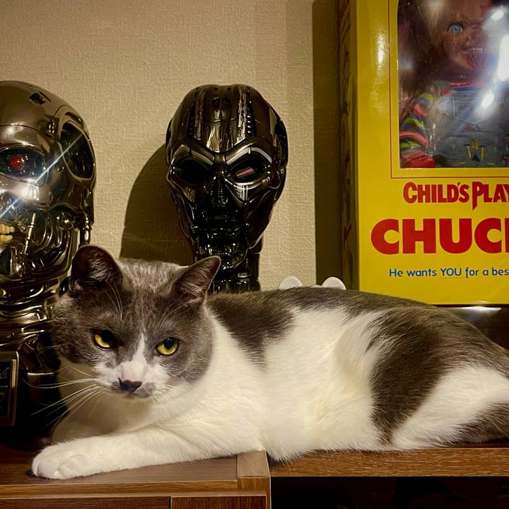 D0f13ec7 839b 4fd3 b9db c58ce2147d8e 1626950865651