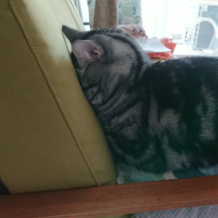 D0f147b5 3129 4a54 9b38 dad11bef4098 1553735135915