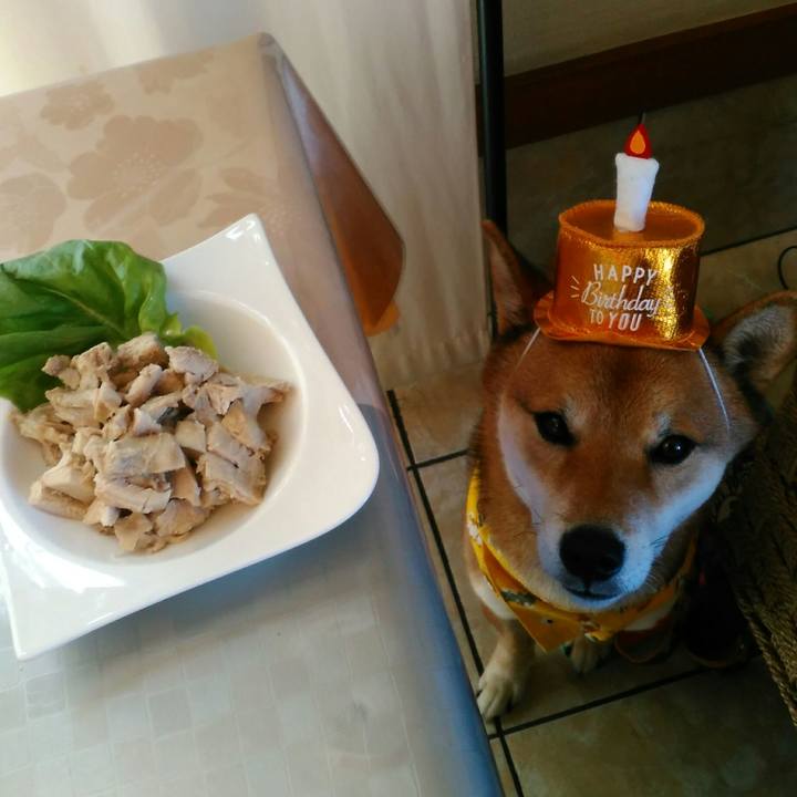 D0f15166 39f5 487c 89e9 cf7e2b348533 1512792727551