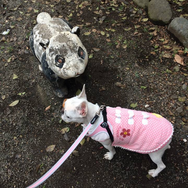 D0f16e1f dc16 440f 8d4f e4d90c76492a 1517660338900