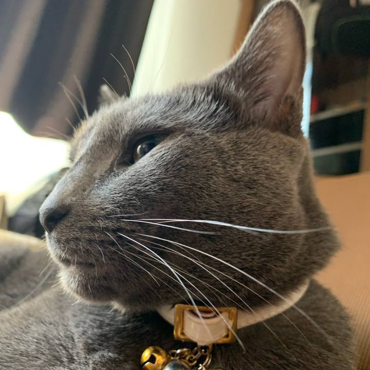 D0f1a40b f7ea 44cc a91f 50bbd78d4a55 1654304050201