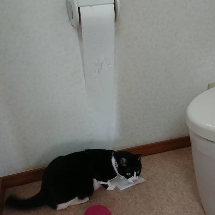 D0f244dd f76d 4b70 b330 2c91a43d7e8a 1630197701577