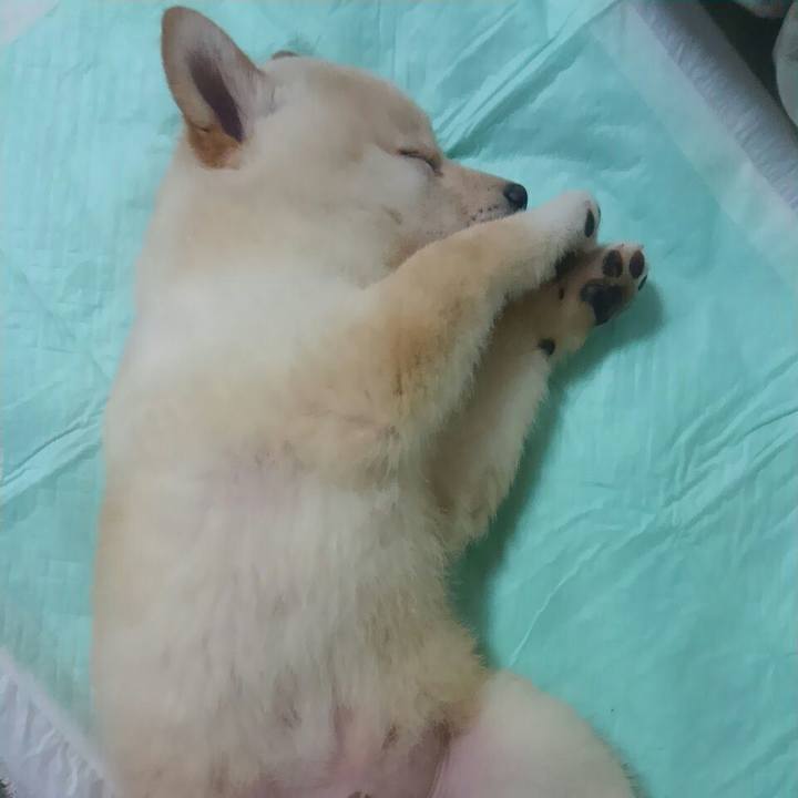 D0f24987 f89b 4a7c 81cf 5ecf9c23eec7 1525953453811