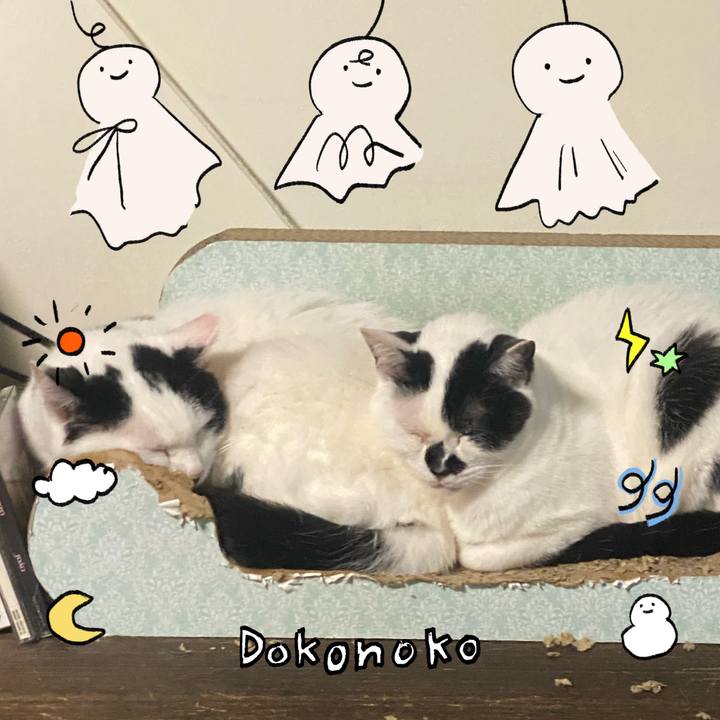 D0f268c2 789c 412b bbaf bd8f374c7933 1749617288303