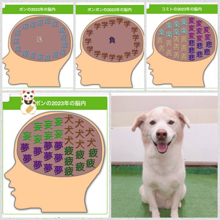 D0f28360 5e78 4e7b bf9a 276ac9d087c3 1673049793590