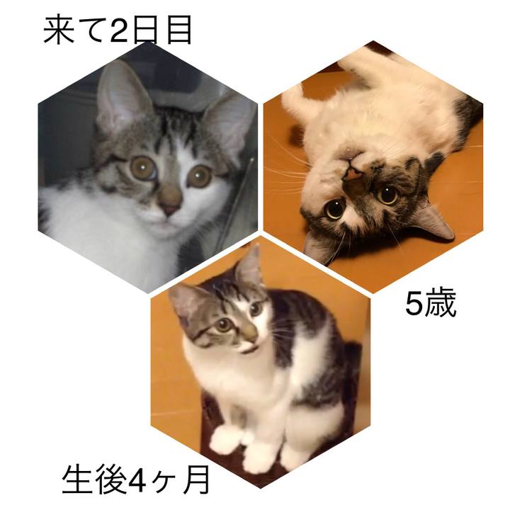 D0f28f78 b253 4e40 ac9e 4d575f61b9be 1569031082770