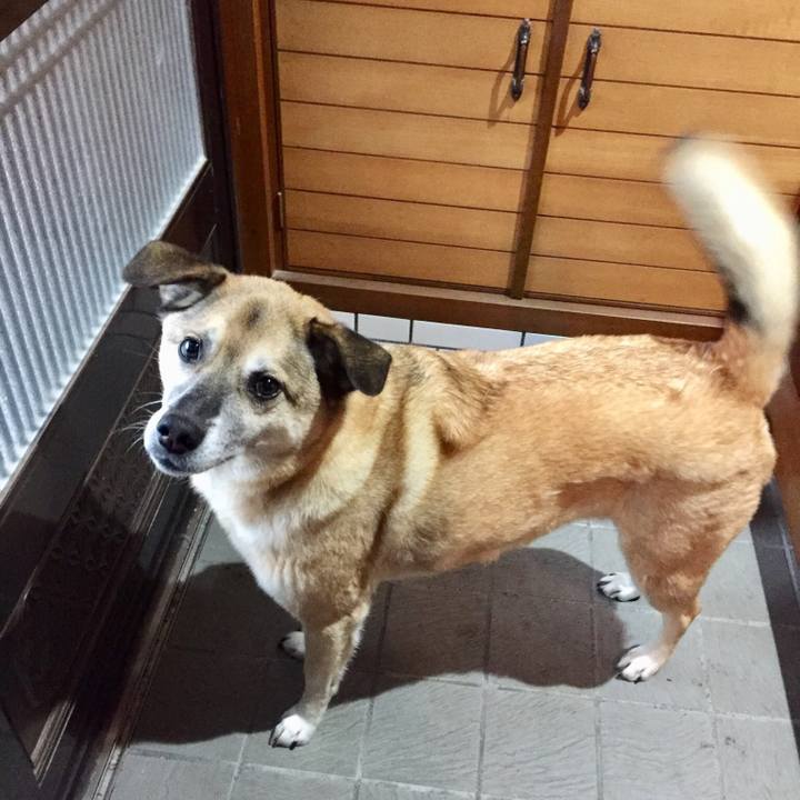 D0f2b0f3 896a 409e a43a a751b8b05c27 1549528518614