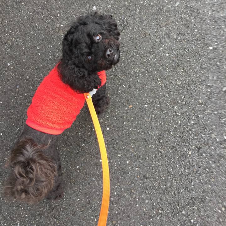 D0f2d849 5c68 4a4f b128 f1bc3f9fb957 1526274619476