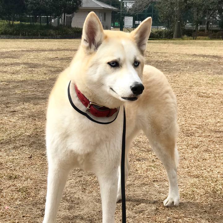 D0f2eb4a e125 4d6c 84e3 920b28852875 1518480614167