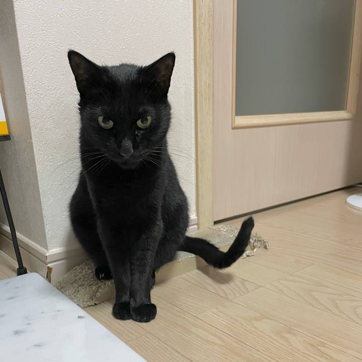 D0f2fcbb b76c 40c2 aec4 c2090917a837 1692436723911