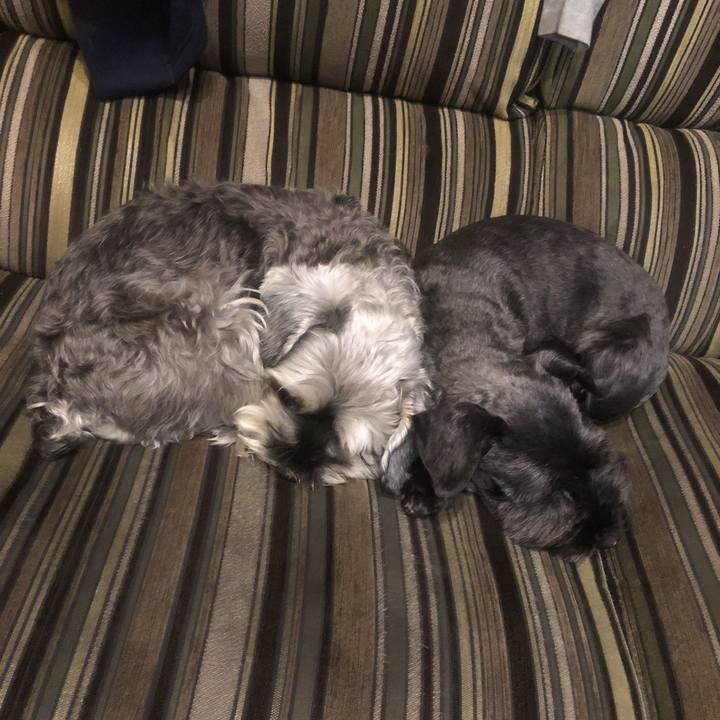 D0f30641 e0ba 4a06 b5fc e555fc57cb83 1519826103174