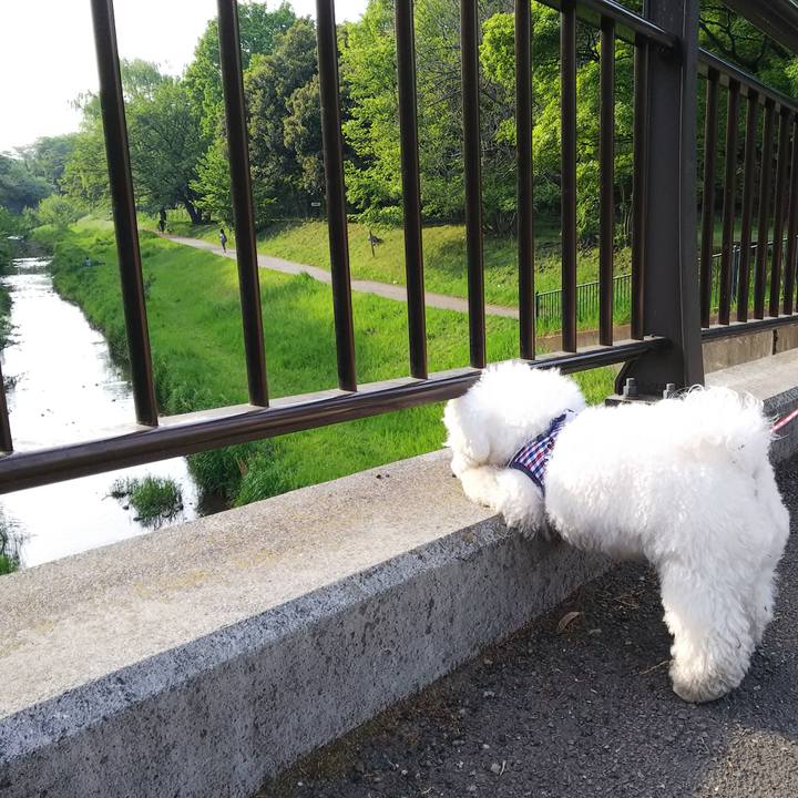 D0f307d9 f480 40c3 8156 6a28802e66de 1524818993700