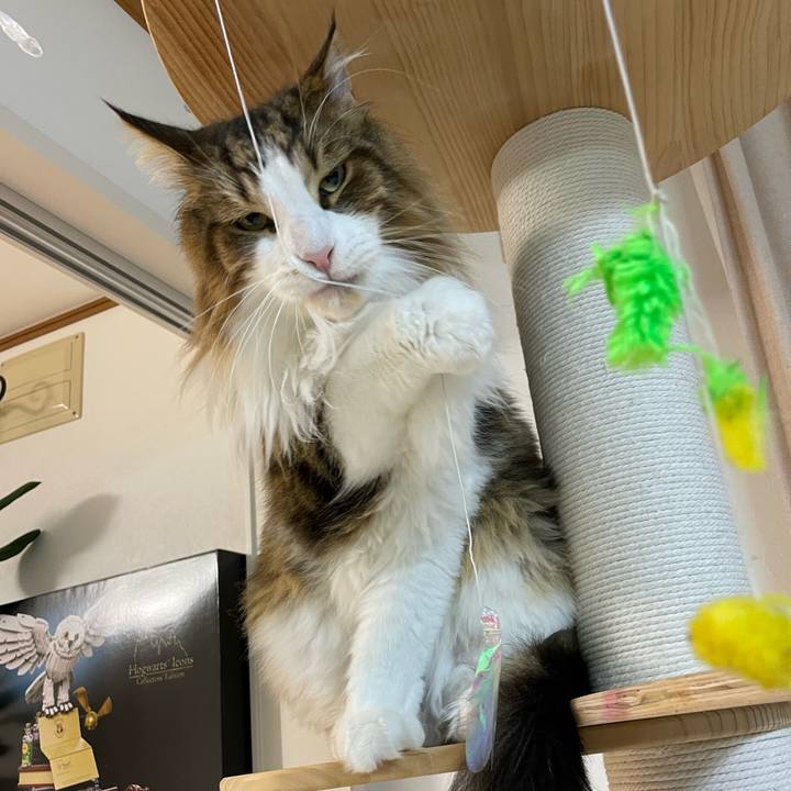 D0f30dc2 13e1 4766 a1d9 b4c1ffb93163 1696793594763