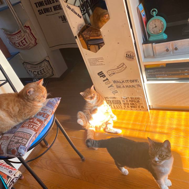 D0f310bb 8d40 4f4d bf63 7938af2449bd 1578624159988