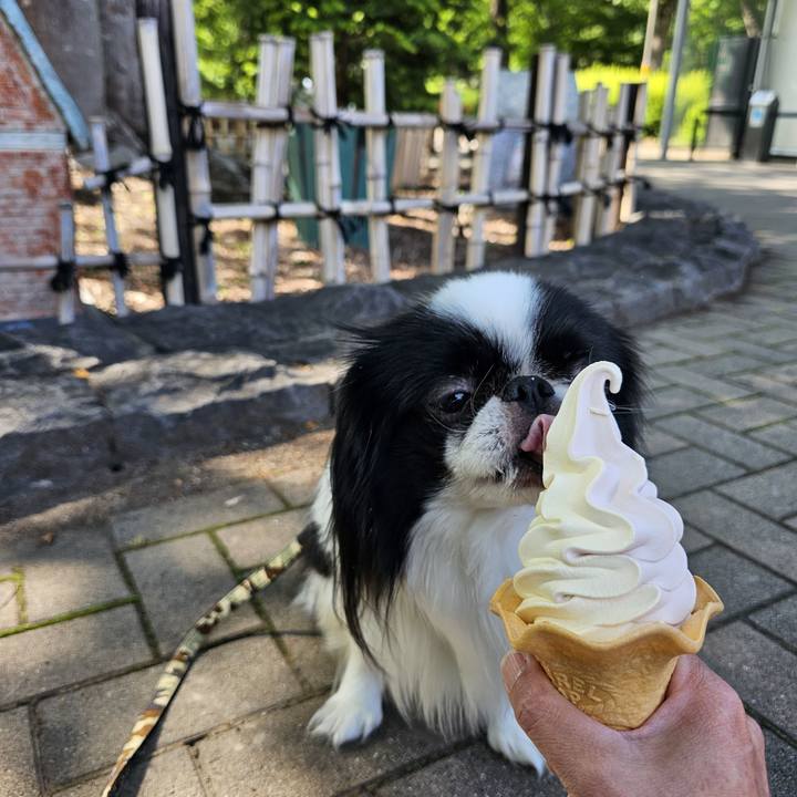 D0f31da7 e088 4a75 8833 91da6b9bd27a 1716366786751