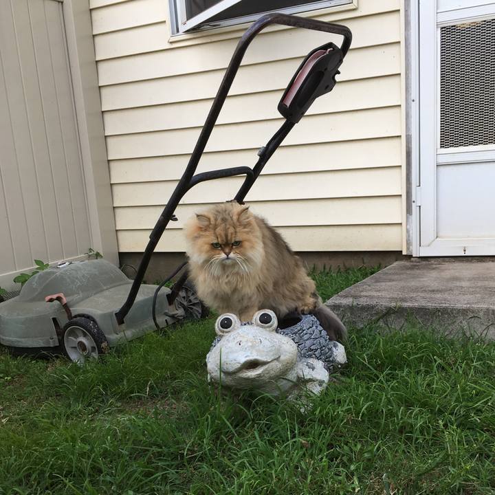 D0f34422 4a7a 438d 88f6 579e15f4e550 1523604964243