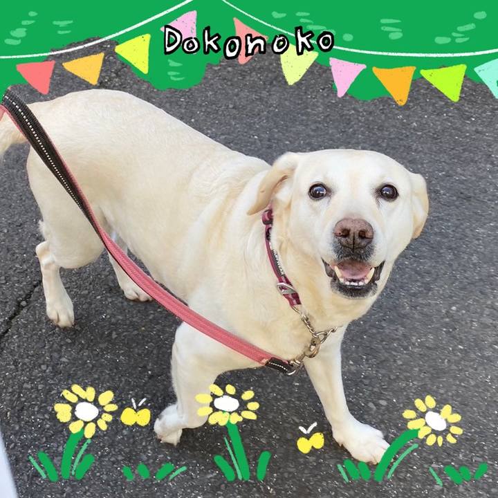 D0f38bfd 4782 44d8 addb 8ca0aeb48284 1711078468970