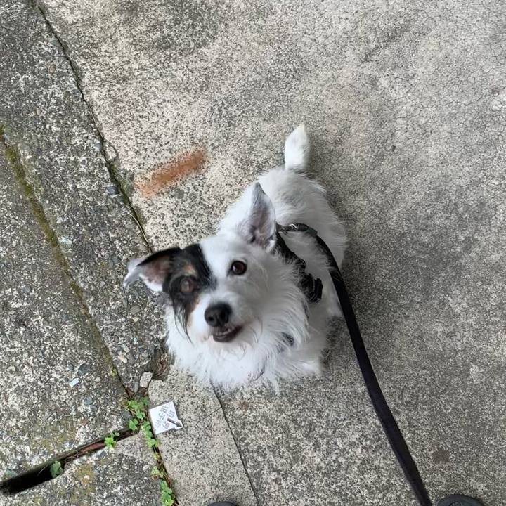 D0f3a3b4 e570 4f77 b350 a5438c69367c 1689201759510