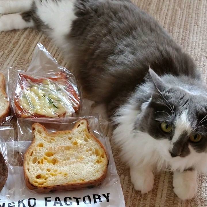 D0f3b796 c46b 4b81 984f 131482169e6c 1593231993106