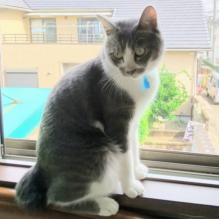 D0f3cf73 64ec 469a a1e2 e604ccf02bf2 1600127949160