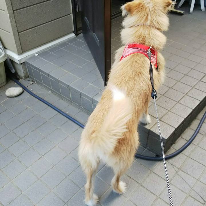 D0f3d2df 2df8 476c 8af5 c63715b52d0f 1518825855350