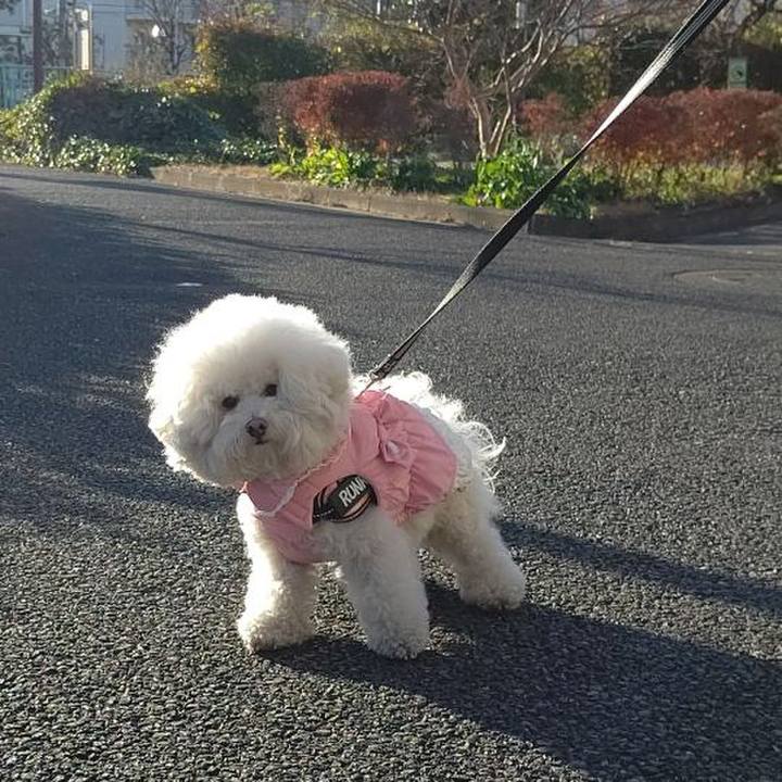 D0f3f7e1 6b77 4c94 85a5 b99c9b0ec63d 1608449541634