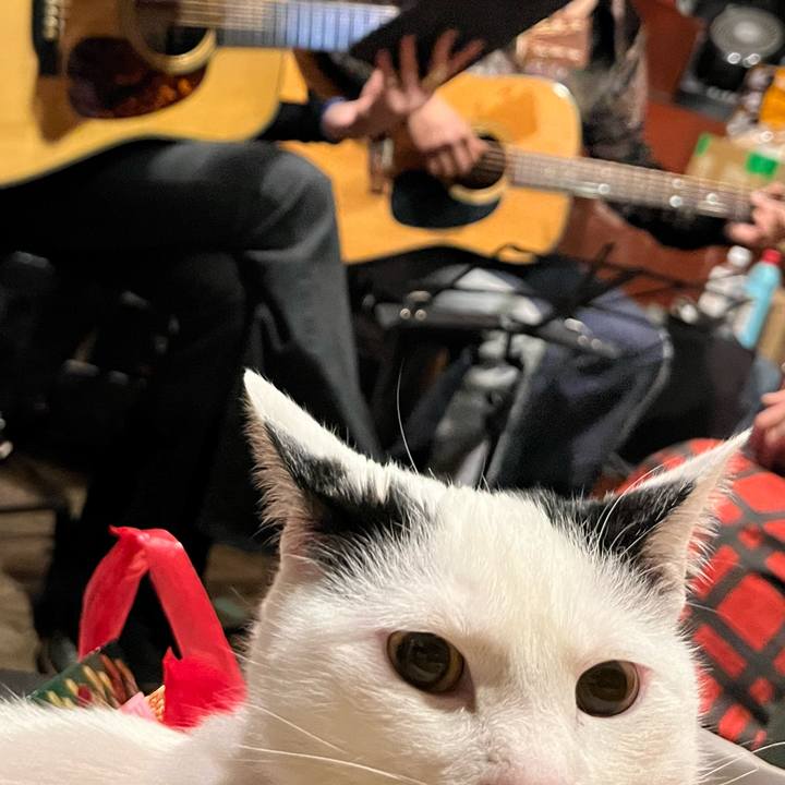 D0f415b4 9e46 4a7f 8651 a4ecc6457e65 1711201492449