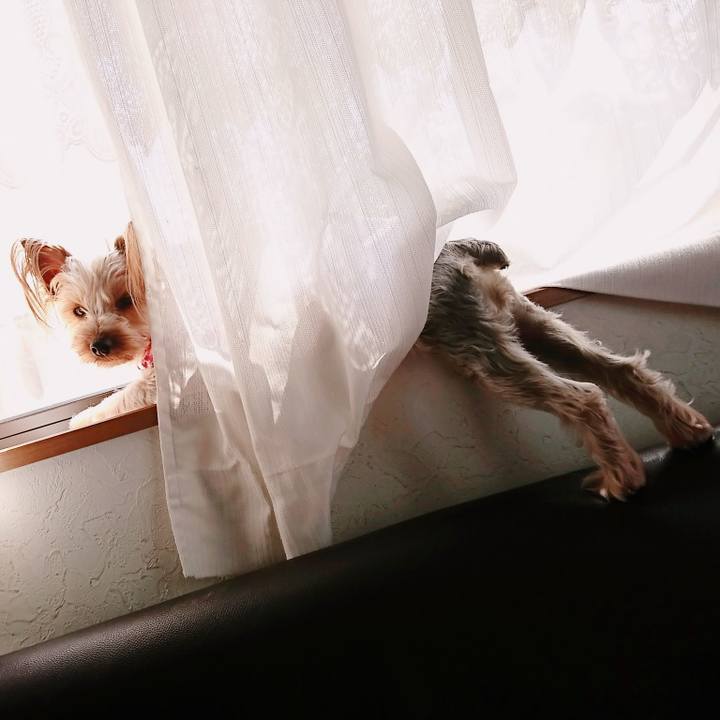 D0f4259c f243 40af a325 eb5ac399b576 1524470678014