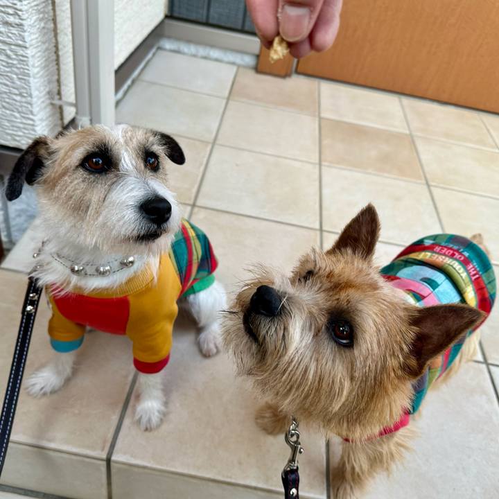 D0f47209 1508 4088 89b6 d506bac6a5cf 1736075760085